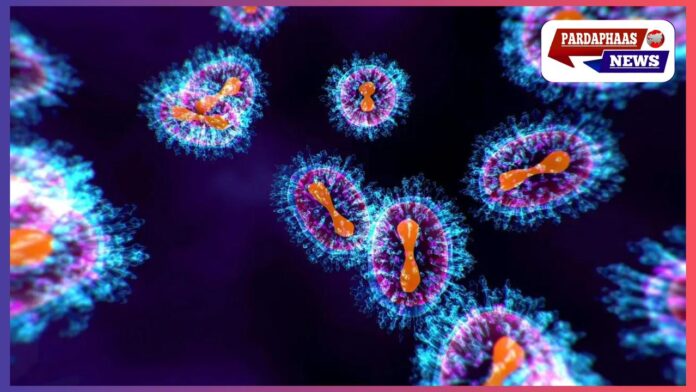 भारत में Human Metapneumovirus (HMPV) के मामले दर्ज, चीन के बाद भारत भी अलर्ट
