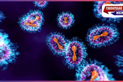 भारत में Human Metapneumovirus (HMPV) के मामले दर्ज, चीन के बाद भारत भी अलर्ट