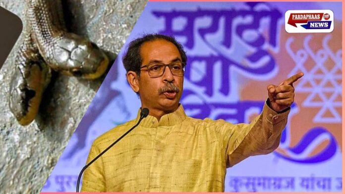 उद्धव ठाकरे की राजनीति: दोमुंहे साँप की तरह हिंदुत्व से किनारा, अब बीजेपी-आरएसएस पर वार!
