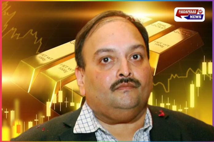 Mehul Choksi : बेल्जियम में भगोड़े हीरा कारोबारी मेहुल चोकसी की गिरफ्तारी, 106 किलो सोने की धोखाधड़ी का नया केस दर्ज, भारत लाने की तैयारी तेज