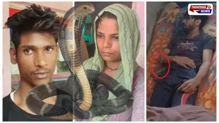 कोबरा कांड: प्यार में पागल पत्नी ने रची ऐसी साज़िश कि कांप उठी इंसानियत! मेरठ में एक बार फिर रिश्तों को डस गया ‘सांप’