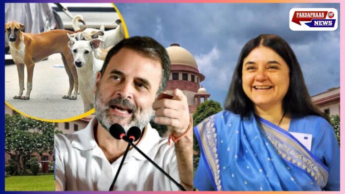 सुप्रीम कोर्ट का बड़ा आदेश — दिल्ली-NCR से आवारा कुत्ते हटेंगे: आठ हफ्ते में शेल्टर, वापस न छोड़ा जाएगा