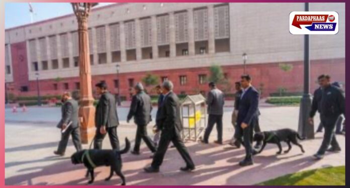 संसद की सुरक्षा में बड़ी चूक — दीवार फांदकर परिसर में घुसा शख्स, गरुड़ द्वार के पास हिरासत में लिया गया संसद की सुरक्षा में बड़ी चूक — दीवार फांदकर परिसर में घुसा शख्स, गरुड़ द्वार के पास हिरासत में लिया गया