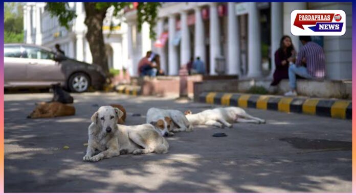 सुप्रीम कोर्ट के आदेश के खिलाफ डॉग-लवर्स का प्रदर्शन — इंडिया गेट व कनॉट प्लेस पर विरोध, पुलिस ने FIR दर्ज की