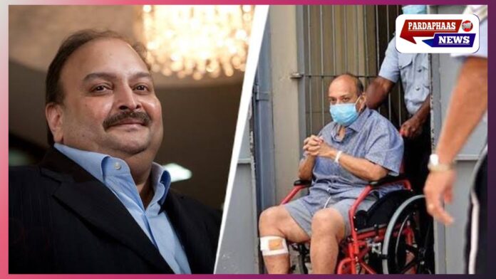 मेहुल चोकसी का भारत प्रत्यर्पण आसान — बेल्जियम अदालत ने कहा: कोई कानूनी रुकावट नहीं; आर्थर रोड जेल की ताजा तस्वीरें सौंप दी गईं मेहुल चोकसी का भारत प्रत्यर्पण आसान — बेल्जियम अदालत ने कहा: कोई कानूनी रुकावट नहीं; आर्थर रोड जेल की ताजा तस्वीरें सौंप दी गईं