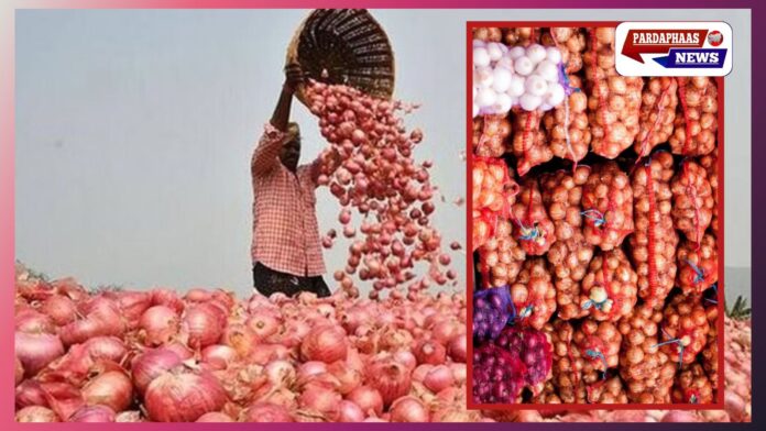 मध्य प्रदेश में प्याज के दामों में भारी गिरावट, किसानों की लागत भी नहीं निकल पा रही — मदद की उठी मांग