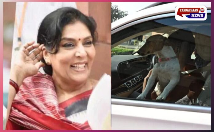 संसद में डाला ड्रामा: एक पिल्ला, एक सांसद और देश की 'बड़ी' चर्चाएँ