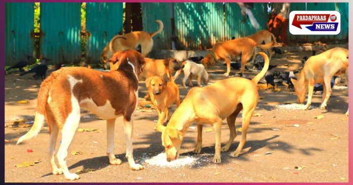 “खामोश चीखें: तेलंगाना के याचारम में 100 आवारा कुत्तों की दर्दनाक मौत, इंसानियत पर उठे गंभीर सवाल”