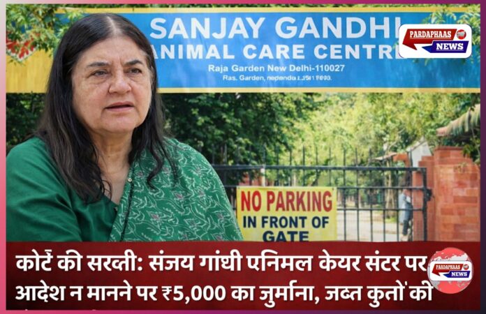 कोर्ट की सख्ती: संजय गांधी एनिमल केयर सेंटर पर आदेश न मानने पर ₹5,000 का जुर्माना, जब्त कुत्तों को लेकर गंभीर सवाल