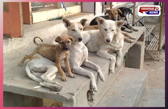 हैदराबाद के पास — “कुत्ता-मुक्त” नहीं, क्रूरता-मुक्त हो गाँव