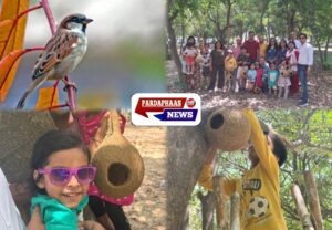 गौरैया के लिए ‘सुरक्षित बसेरा’ अभियान की शुरुआत: शहरीकरण के बीच पक्षियों को नया आशियाना देने की पहल