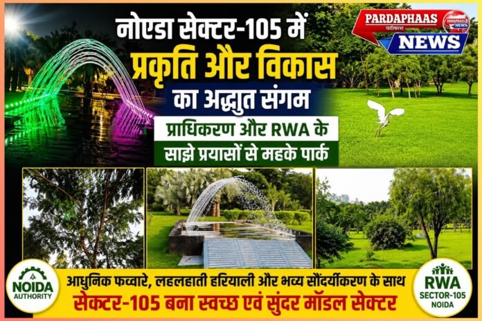 नोएडा सेक्टर-105 में बदली पार्कों की तस्वीर: हरियाली, फव्वारे और आरडब्ल्यूए की साझेदारी ने बनाया मॉडल सेक्टर