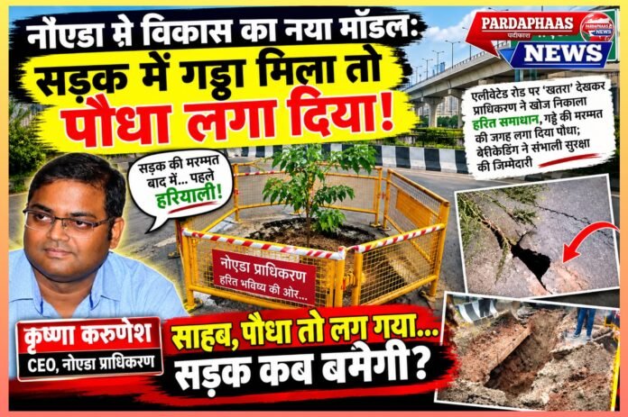 नोएडा में विकास का नया मॉडल: सड़क में गड्ढा मिला तो पौधा लगा दिया!